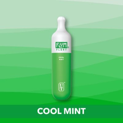 Cool Mint Flum Float 3000 Puffs