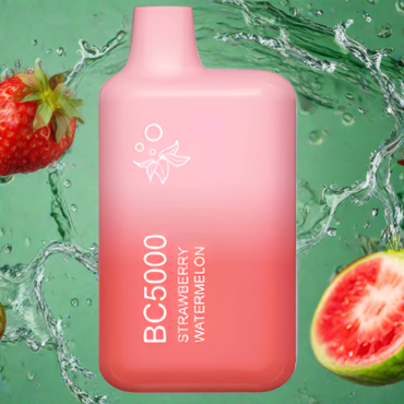 Strawberry Watermelon ElfBar BC5000